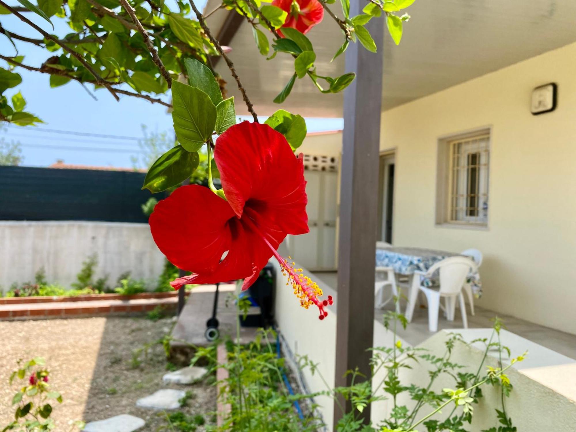 Viviholiday Calabernardo Zewnętrze zdjęcie